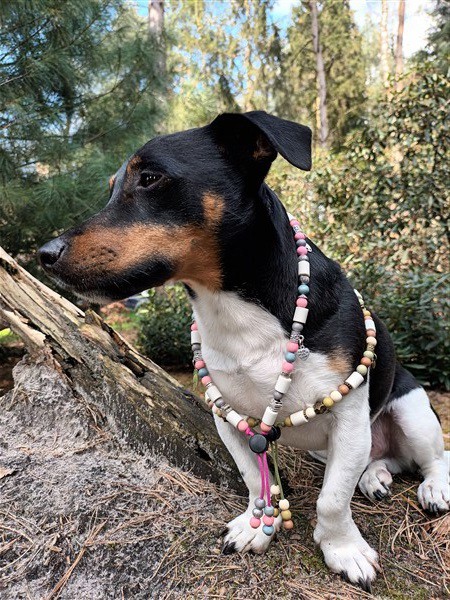 Custom made halsbanden en accessoires van Fien voor de hond en het baasje